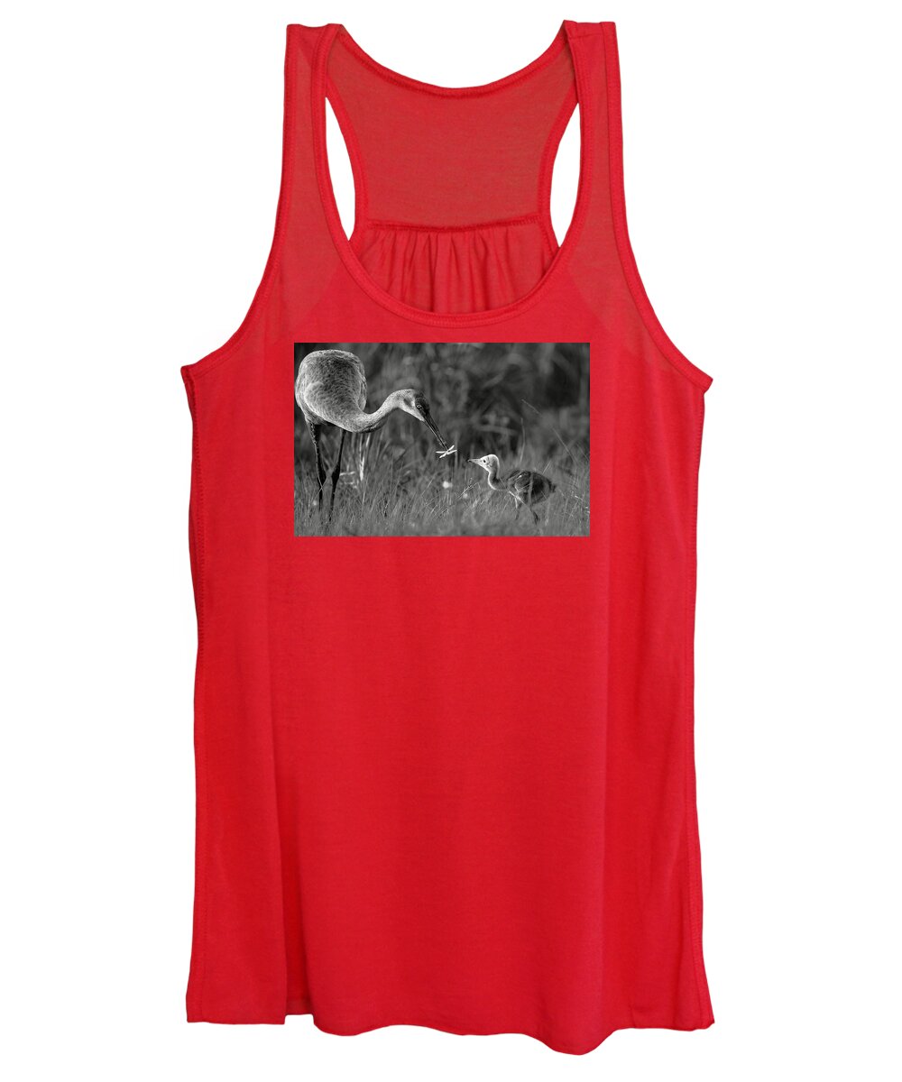 Todays lesson - Women's Tank Top