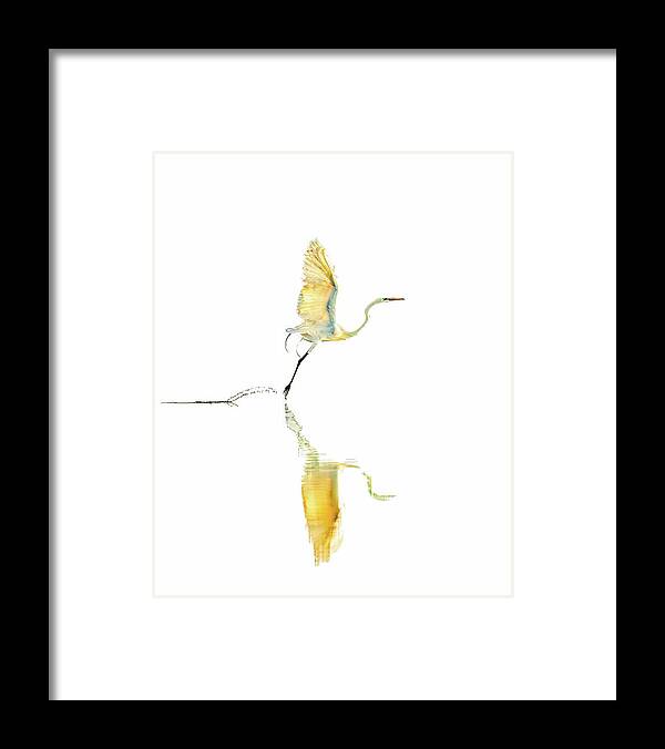 Vanilla - Framed Print