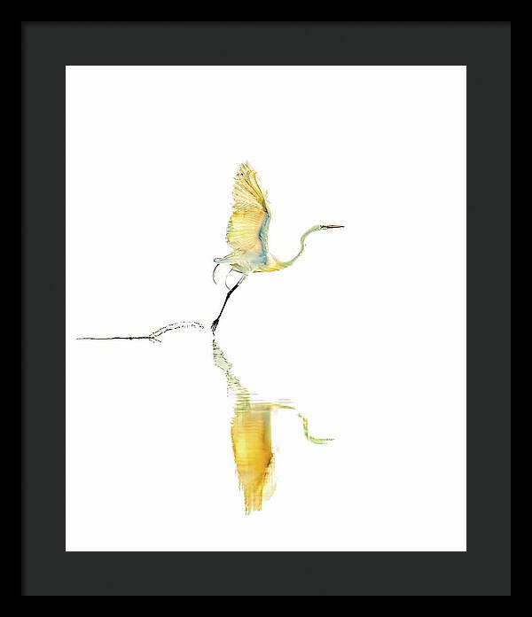 Vanilla - Framed Print