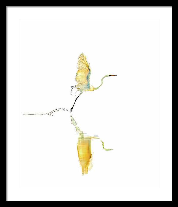 Vanilla - Framed Print
