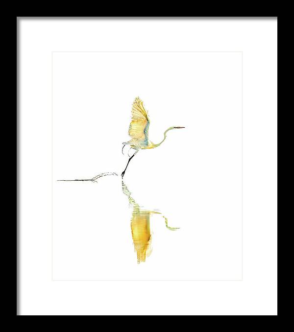 Vanilla - Framed Print