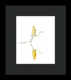 Vanilla - Framed Print