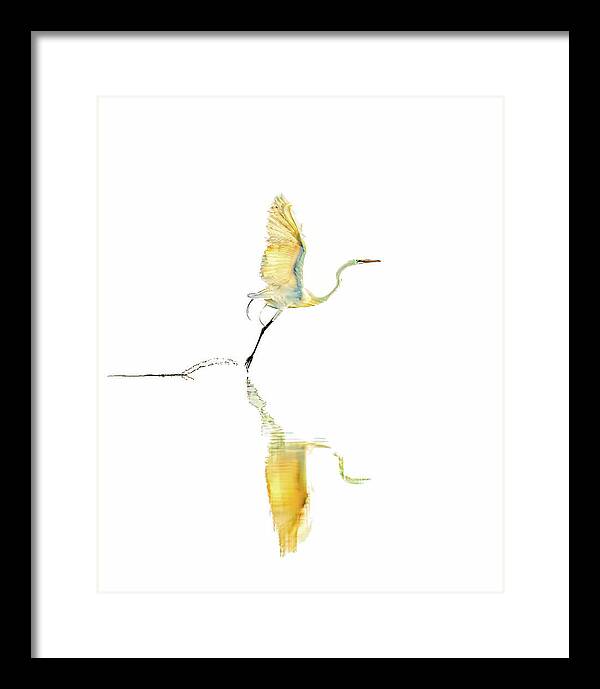 Vanilla - Framed Print