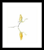 Vanilla - Framed Print
