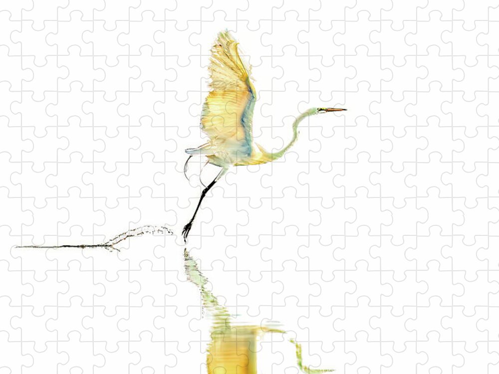 Vanilla - Puzzle