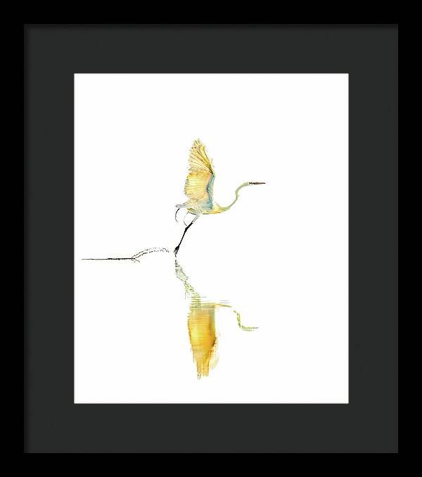 Vanilla - Framed Print