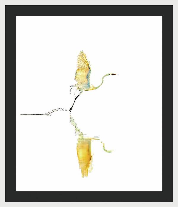 Vanilla - Framed Print