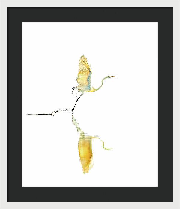 Vanilla - Framed Print