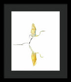 Vanilla - Framed Print
