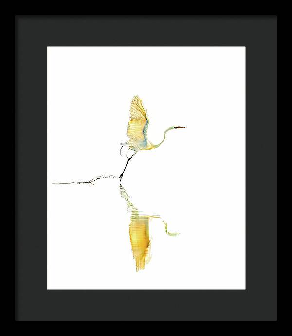Vanilla - Framed Print