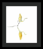 Vanilla - Framed Print
