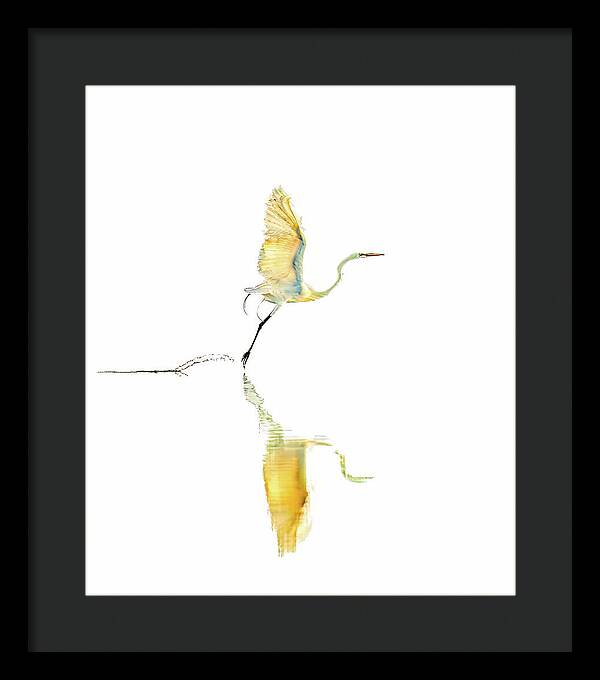 Vanilla - Framed Print
