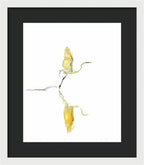 Vanilla - Framed Print