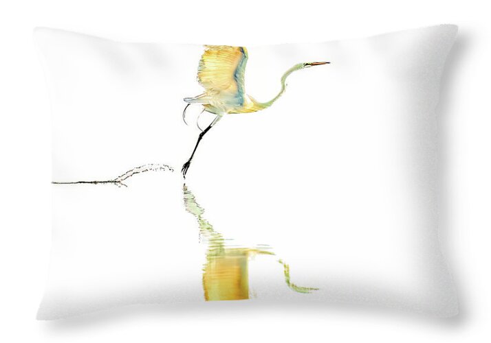 Vanilla - Throw Pillow