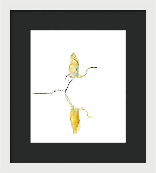Vanilla - Framed Print
