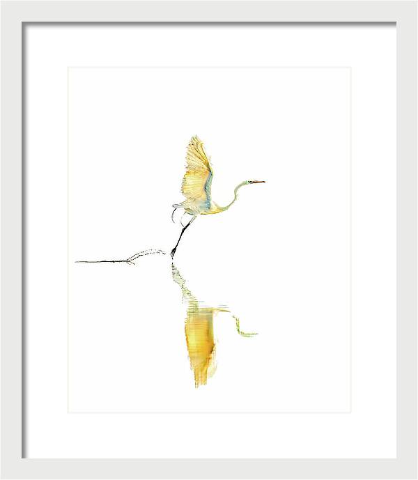 Vanilla - Framed Print