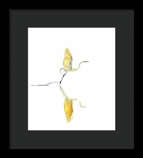 Vanilla - Framed Print