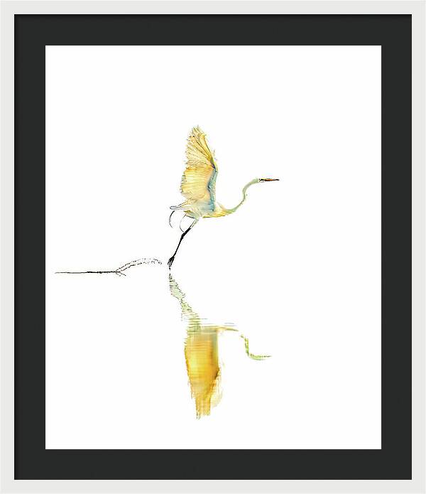 Vanilla - Framed Print