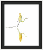 Vanilla - Framed Print