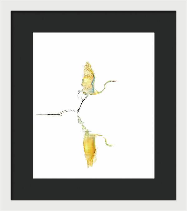Vanilla - Framed Print