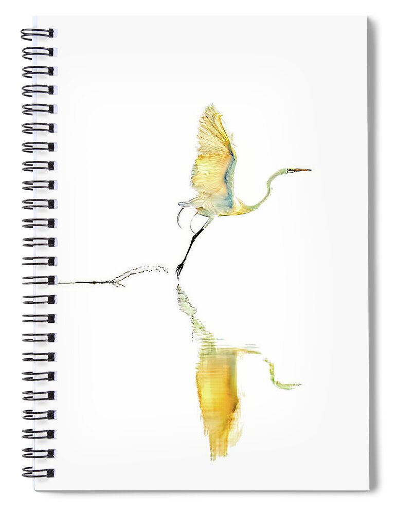 Vanilla - Spiral Notebook