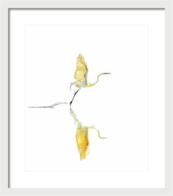 Vanilla - Framed Print