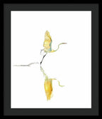 Vanilla - Framed Print