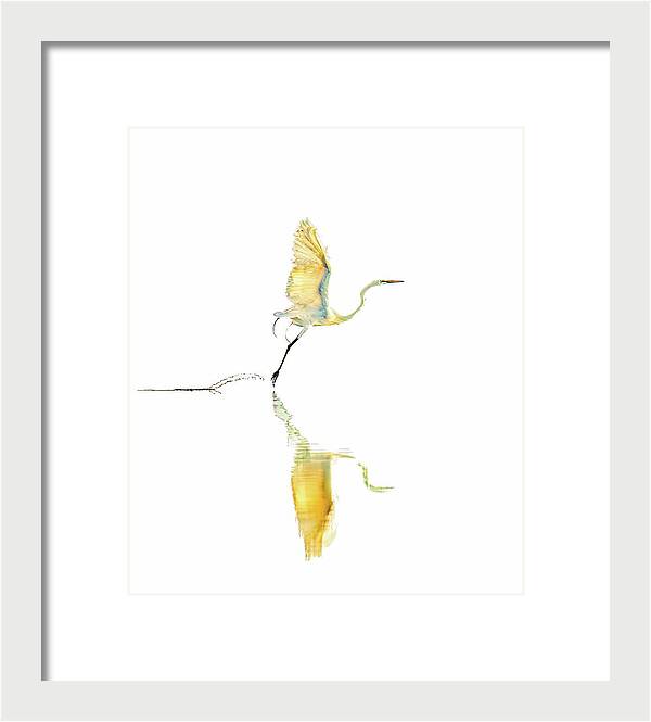 Vanilla - Framed Print
