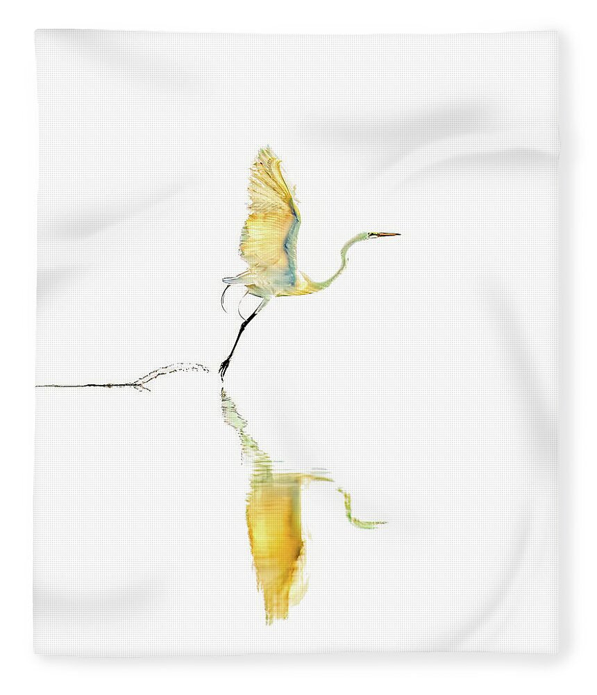 Vanilla - Blanket