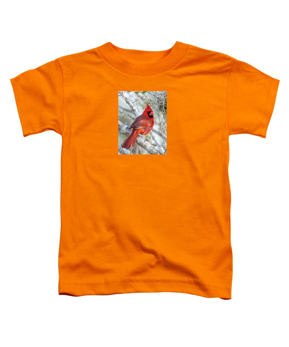 Winters Flame - Toddler T-Shirt