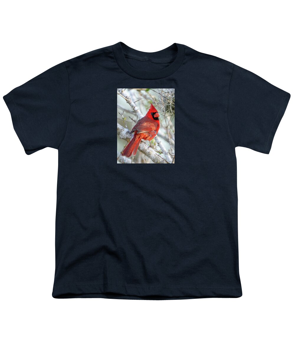 Winters Flame - Youth T-Shirt