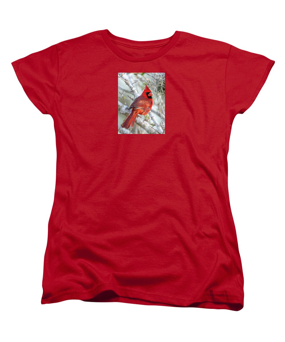 Winters Flame - Women's T-Shirt (Standard Fit)
