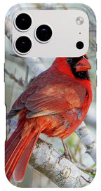 Winters Flame - Phone Case