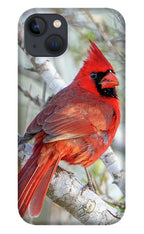 Winters Flame - Phone Case