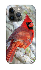 Winters Flame - Phone Case