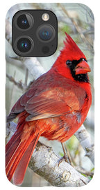 Winters Flame - Phone Case