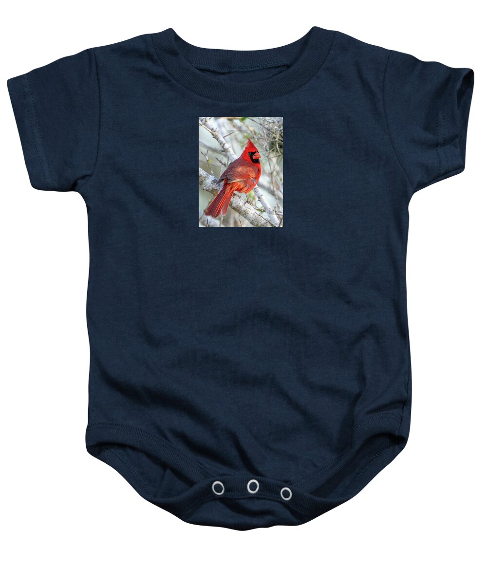 Winters Flame - Baby One-Piece