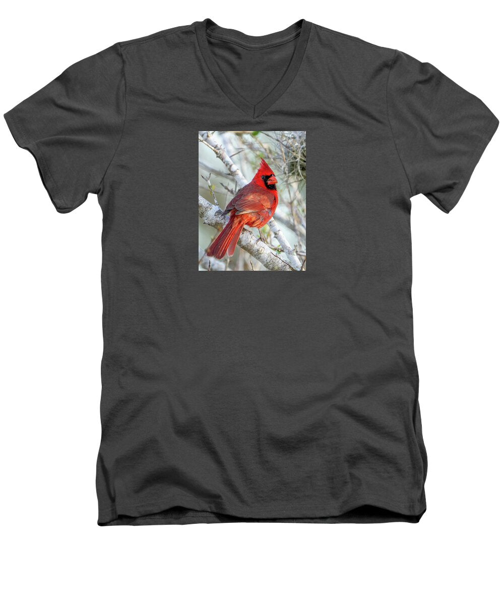 Winters Flame - Men's V-Neck T-Shirt