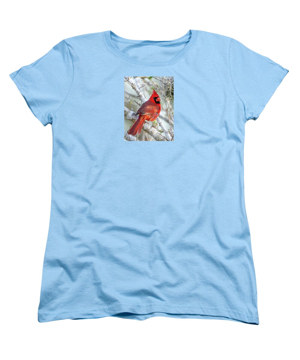 Winters Flame - Women's T-Shirt (Standard Fit)