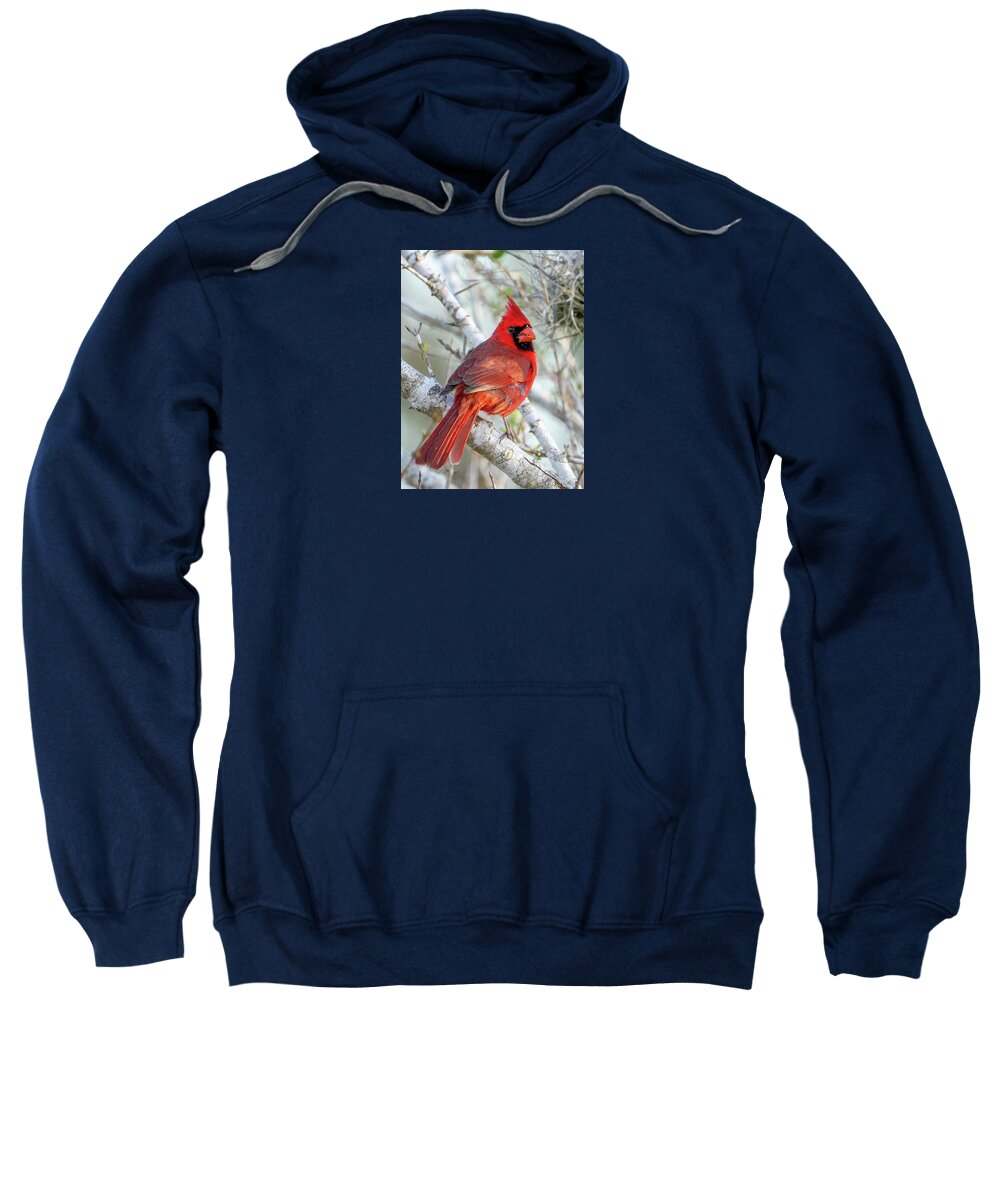 Winters Flame - Sweatshirt