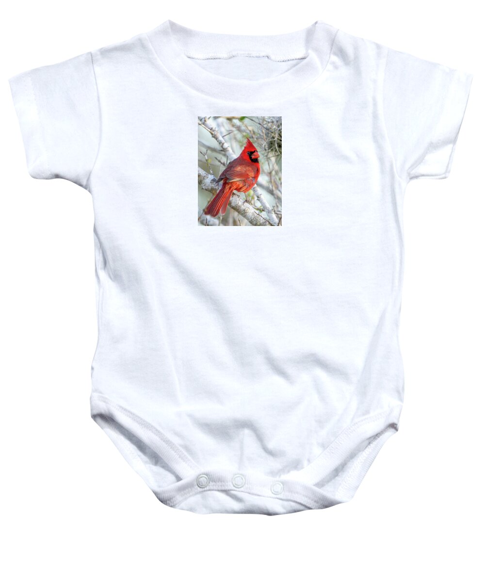 Winters Flame - Baby One-Piece