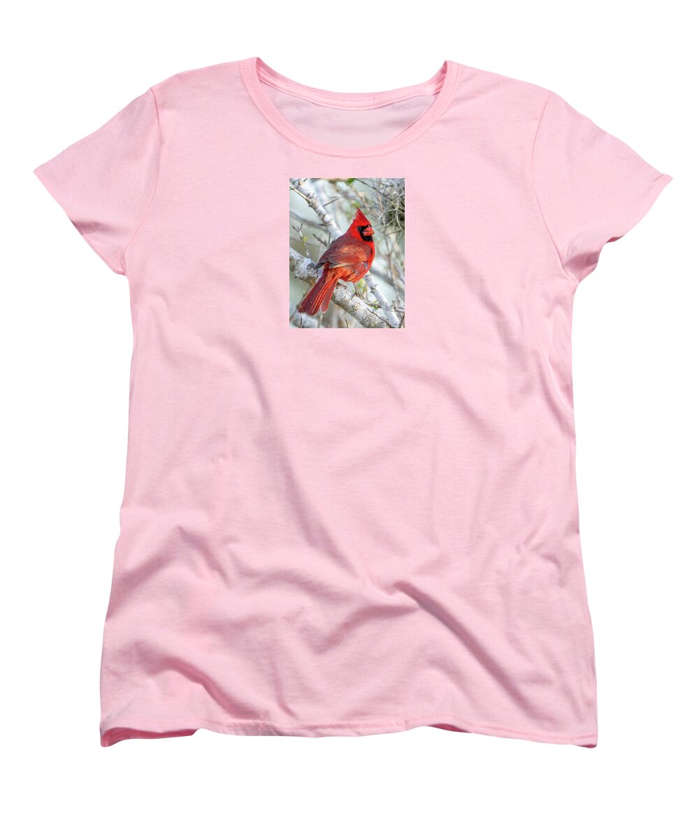 Winters Flame - Women's T-Shirt (Standard Fit)