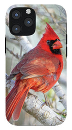 Winters Flame - Phone Case
