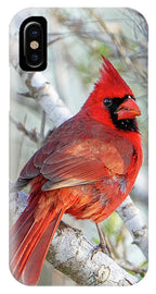 Winters Flame - Phone Case