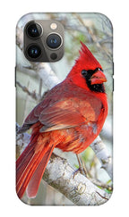 Winters Flame - Phone Case