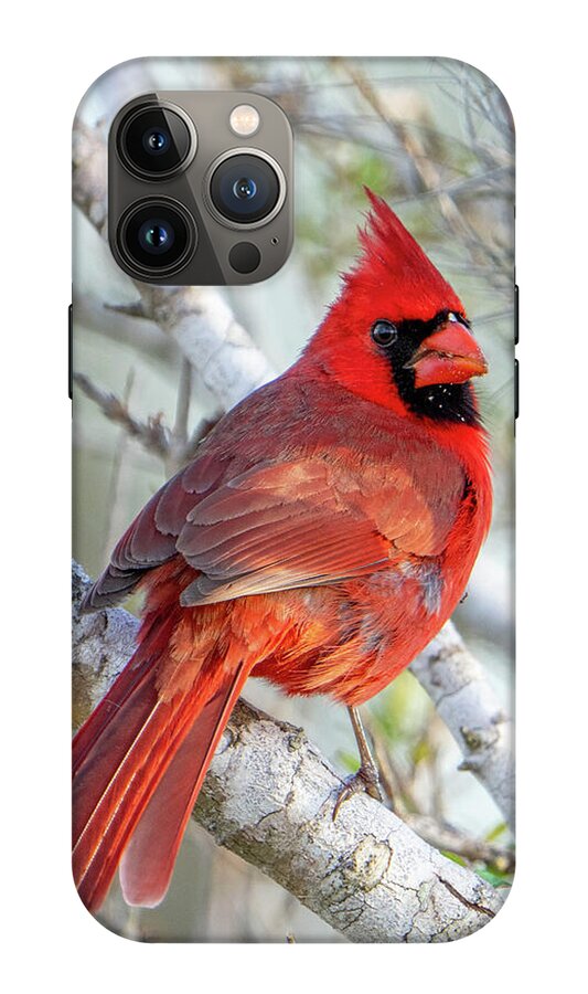 Winters Flame - Phone Case