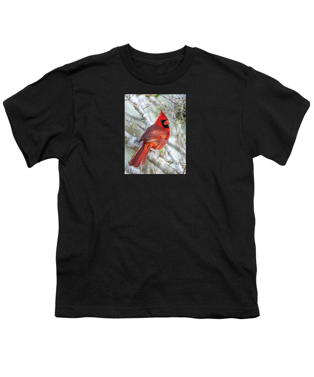 Winters Flame - Youth T-Shirt