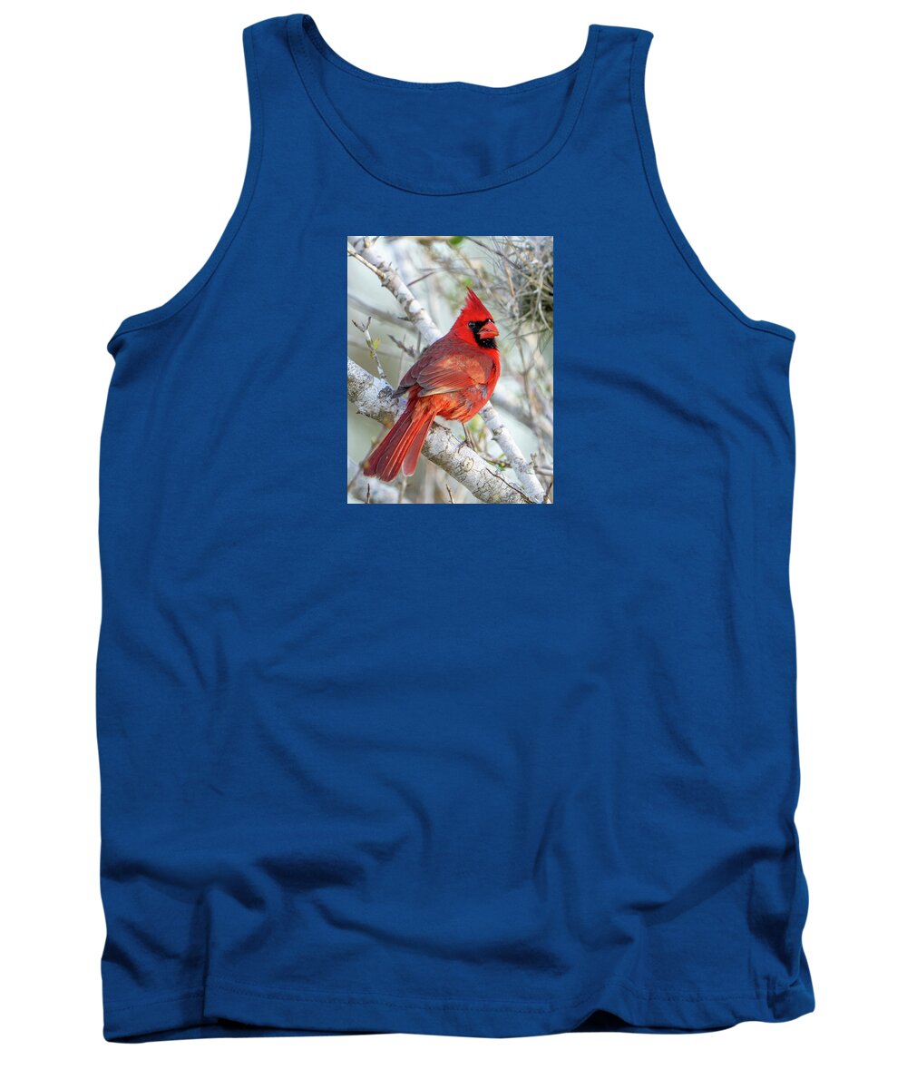 Winters Flame - Tank Top