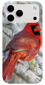 Winters Flame - Phone Case