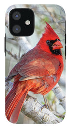 Winters Flame - Phone Case